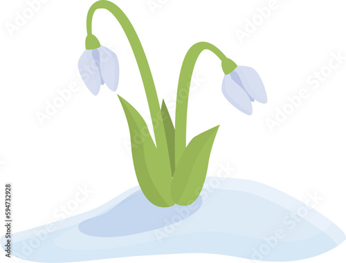 Snowdrop blossom icon cartoon vector. Spring flower. Petal fresh
