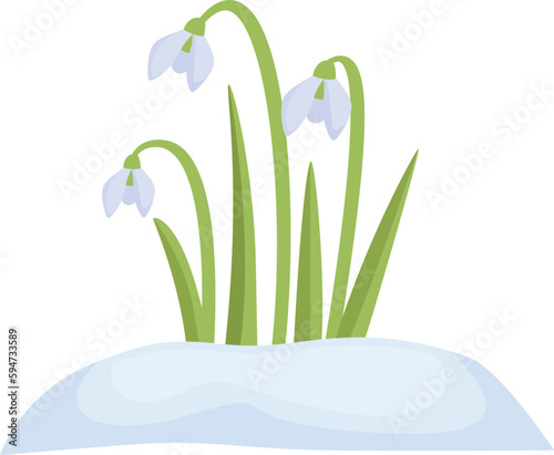 Garden snowdrop icon cartoon vector. Spring flower. Blossom flora