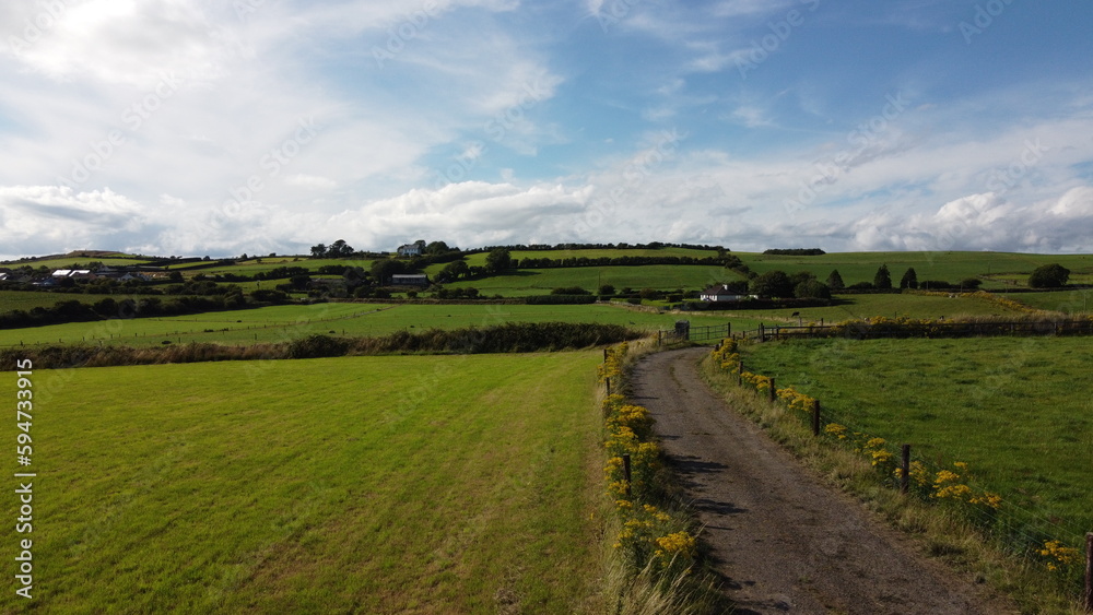 Fototapeta premium A road between fields, Ireland. Blue sky over grass fields. Irish summer landscape. Green grass field under blue sky