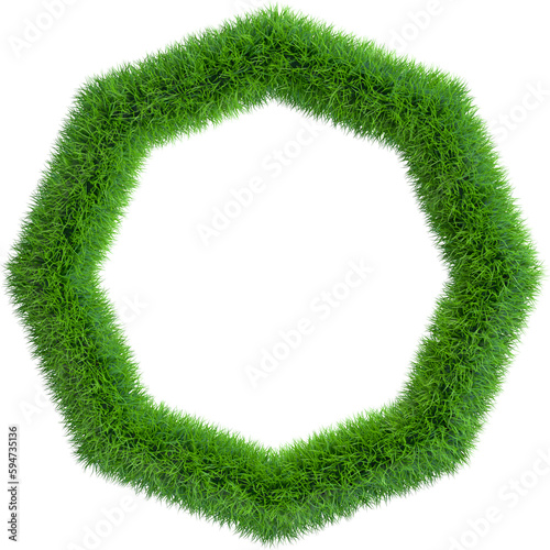 Grass frame in form of octa...