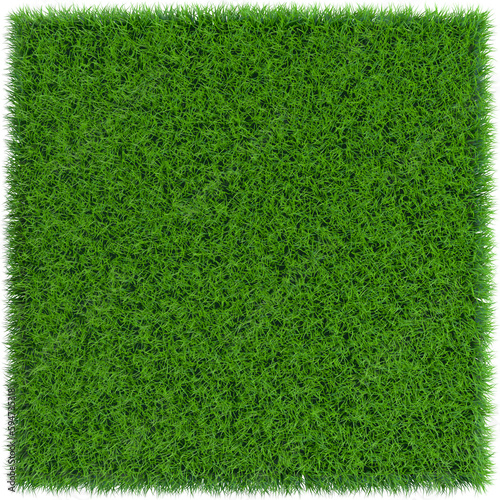 Patch of grass in form of square.3D rendering illustration. 