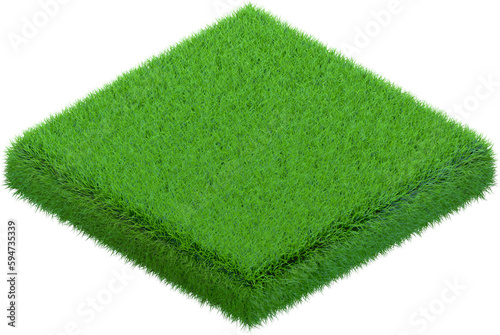 Patch of grass in form of s...