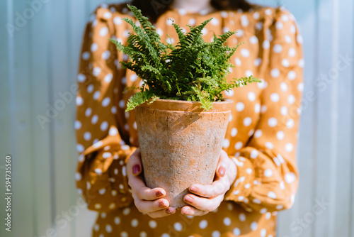 Woman holding green nephrolepis fern plant in terracotta flower pot. Concept of air purifying houseplants care photo