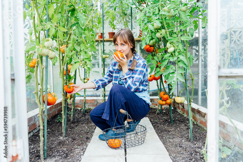 Young woman sniffing just picked ripe red beef tomato in green house farm. Harvest of tomatoes. Cottagecore lifestyle. Growing organic vegetables in the garden. The concept of food self-sufficiency. photo