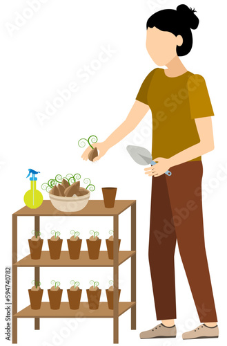 Planting and garden care. A woman transplants seedlings into separate pots. © Tatik22