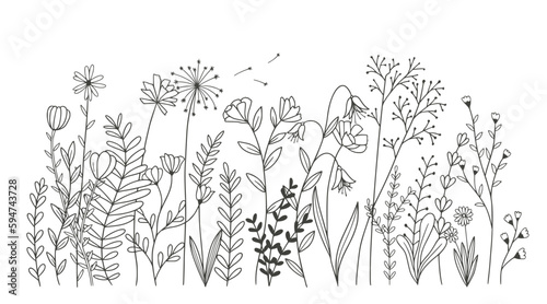 Beautiful flowers isolated on white background. vector illustration
