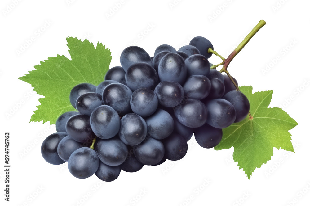 Blue wet grapes bunch isolated on white background. Generative AI Blue wet grapes bunch isolated on white background. Generative AI