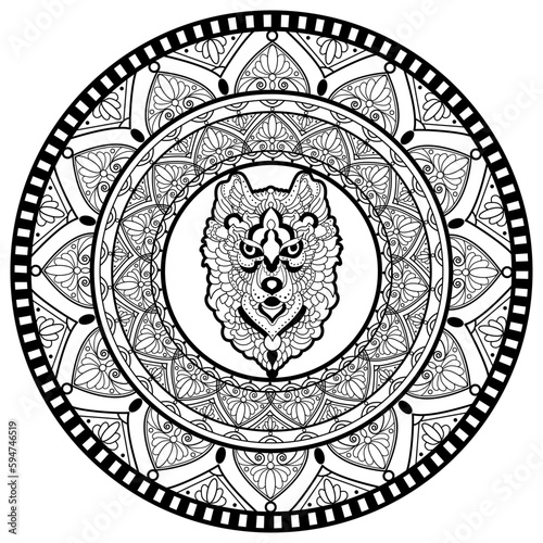 Vector illustration of a mandala with lion head for coloring adult book, mandala vettoriale con testa di leone da colorare per libro adulti