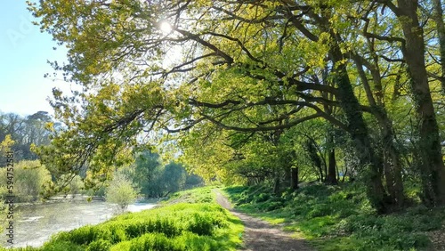 La Forêt, la Prairie et et le Canal