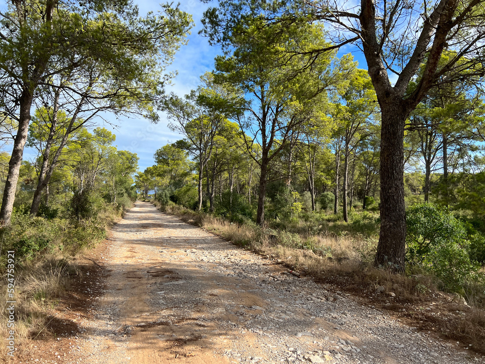 Gravel road through Parc Natural del Montgrí Gravel road through Parc Natural del Montgrí