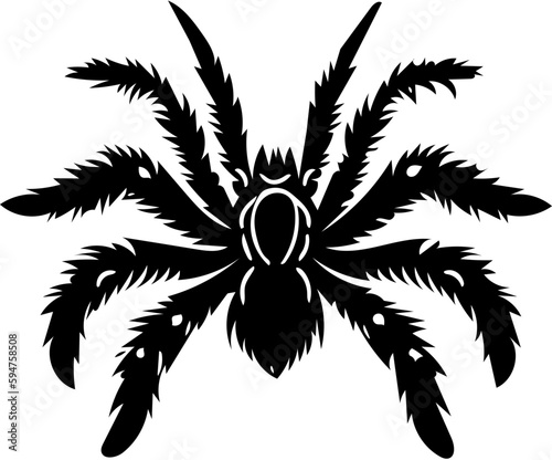 Tarantula spider logo in black and white color, vector illustration of arthropod, poisonous animal