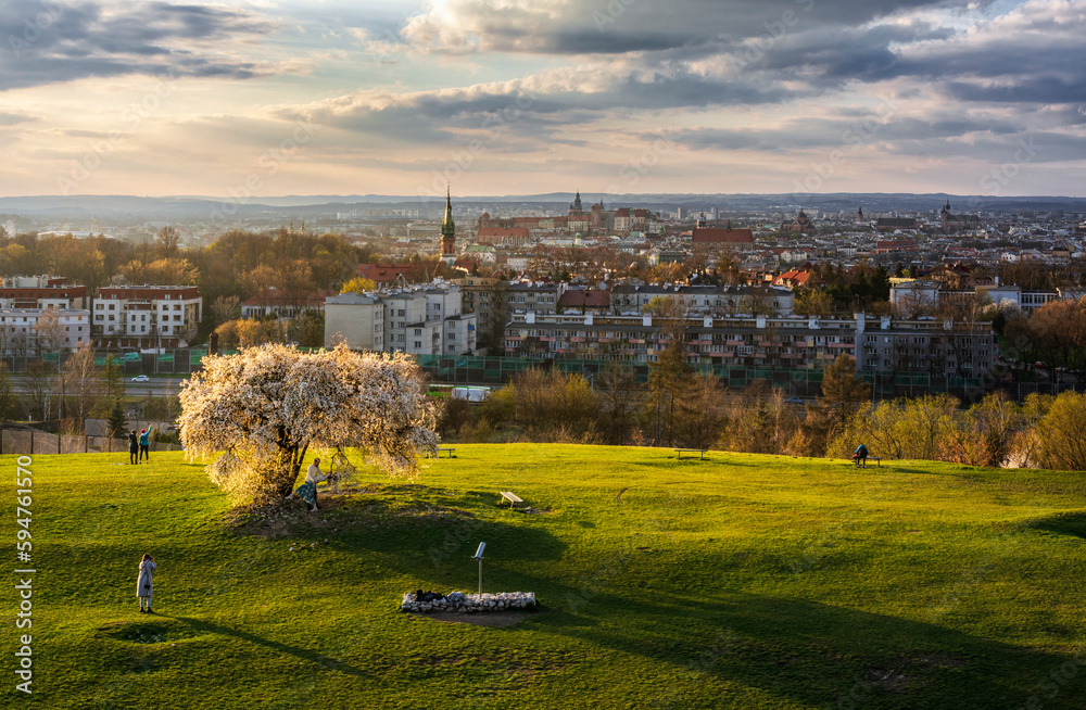 Obraz na płótnie Panorama of Krakow from Krakus Mound with famous tree during sunset in spring w salonie