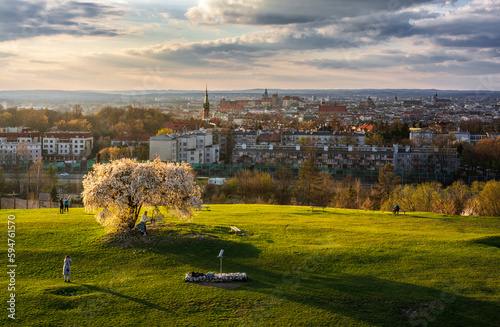 Panorama of Krakow from Krakus Mound with famous tree during sunset in spring