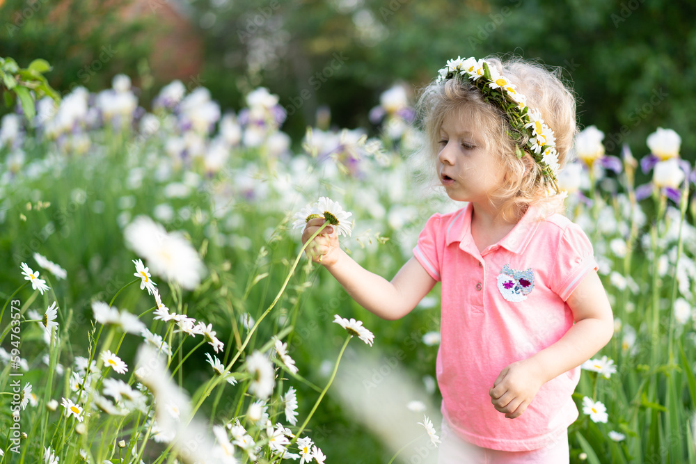 Little girl in a field with daisies, portrait of a child with a daisy Little girl in a field with daisies, portrait of a child with a daisy