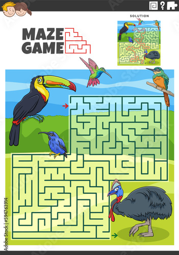 maze game activity with cartoon birds animal characters