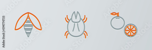 Set line Orange fruit, Bee and Parasite mite icon. Vector