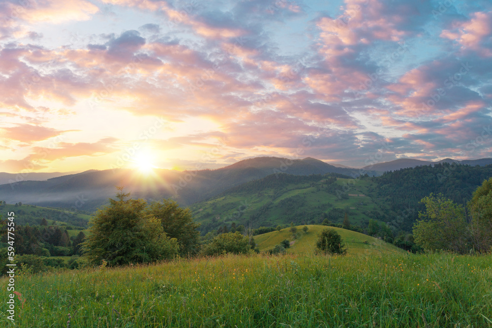 Fototapeta premium Green grass meadow on a mountain hill under a gorgeous sunset sky. Carpathian mountains. Ukraine.