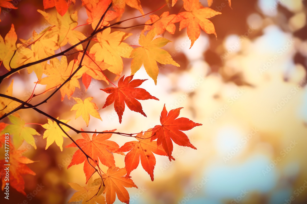 Beautiful maple leaves in autumn sunny day in foreground and blurry background. Generative AI.