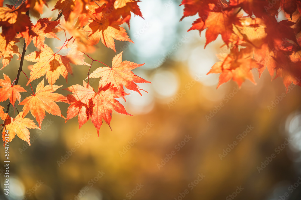 Beautiful maple leaves in autumn sunny day in foreground and blurry background. Generative AI.