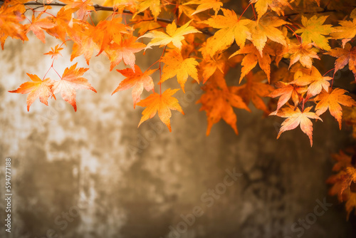 Beautiful maple leaves in autumn sunny day in foreground and blurry background. Generative AI.