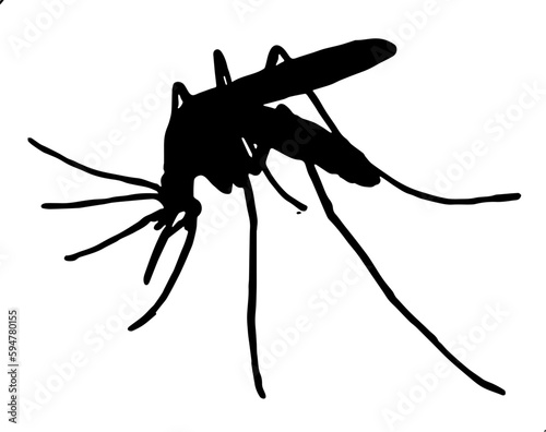 Mosquito silhouette vector