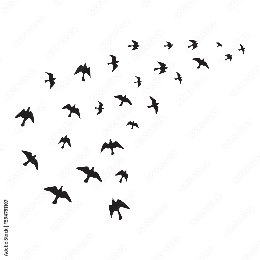 Obraz premium Silhouette Of A Flock Of Flying Birds Stock Illustration