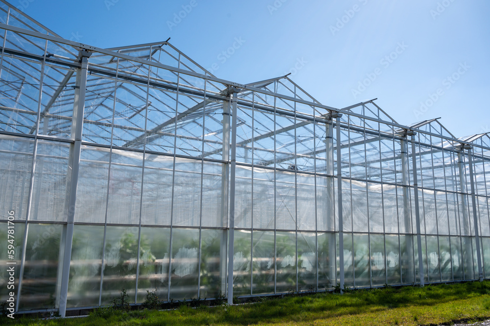 All seasons fresh vegetables, fruits and flowers, agriculture in Netherlands, big modern greeenhouses in Limburg, exterior view All seasons fresh vegetables, fruits and flowers, agriculture in Netherlands, big modern greeenhouses in Limburg, exterior view