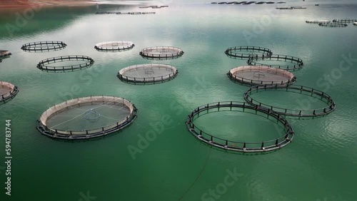 fish farms on the lake