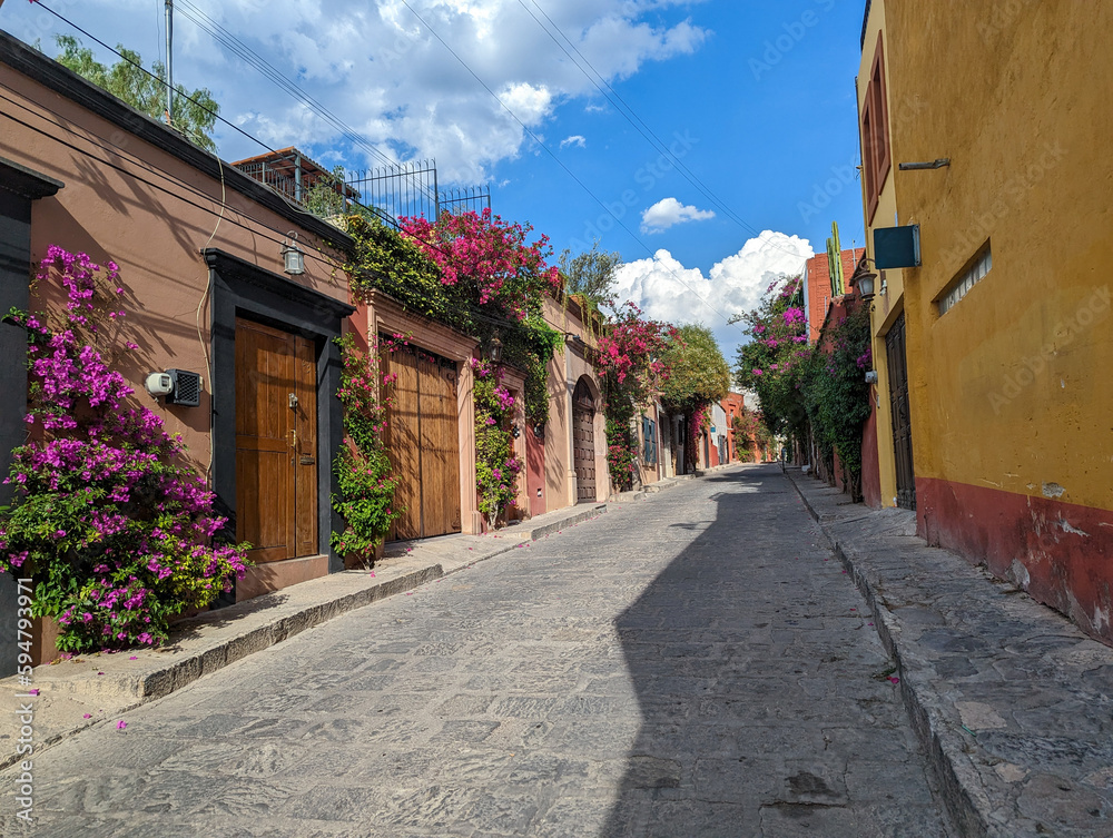 Street in the old town with Bougainvillea