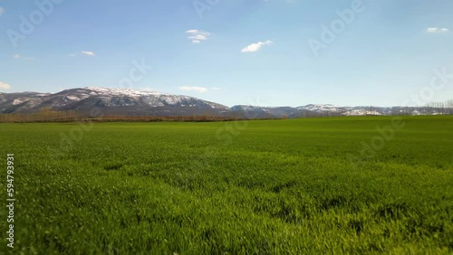 grassland and mountain view