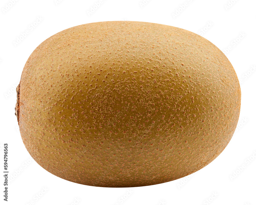 kiwi isolated on white background, full depth of field kiwi isolated on white background, full depth of field