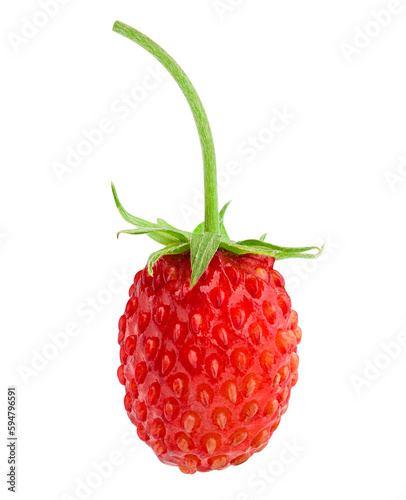 Wild strawberry isolated on white background, full depth of field