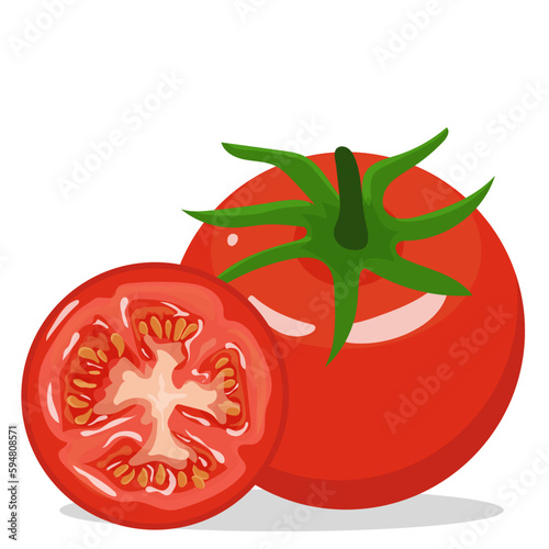 round slice of red juicy tomato with yellow seeds and whole tomato, vector illustration