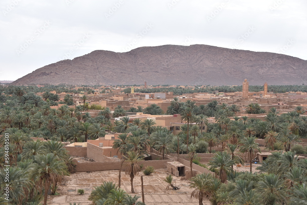 Obraz premium Oasis of Figuig, Oriental province, Eastern Morocco