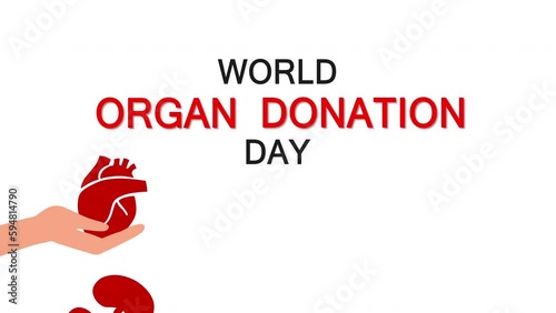 Hands holding human organs. World Organ Donation Day. Concept of organ donation, heart transplant, lungs, liver, kidneys. Volunteering for a patient. Video animation.