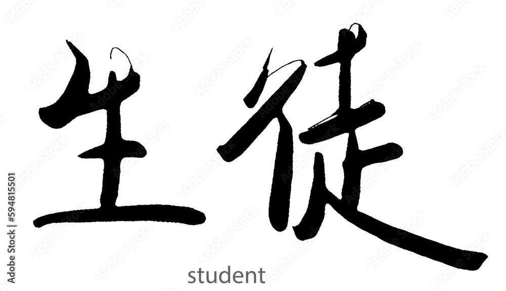 Hand drawn calligraphy of student word on white background - obrazy, fototapety, plakaty 