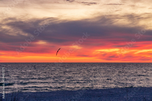 Sunset over the ocean with a bird in flight.