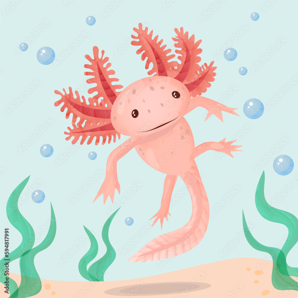 Watercolor vector illustration of a tiny axolotl. Cute floating pink ...