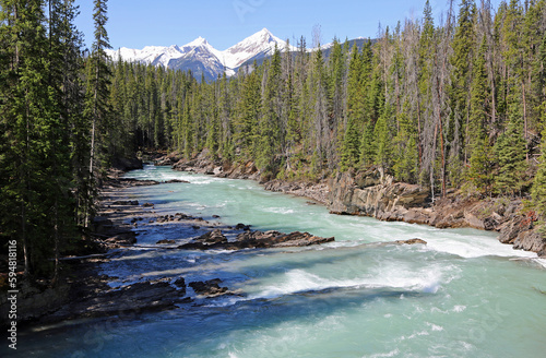 The forest and mountains over Kicking Horse River, Canada