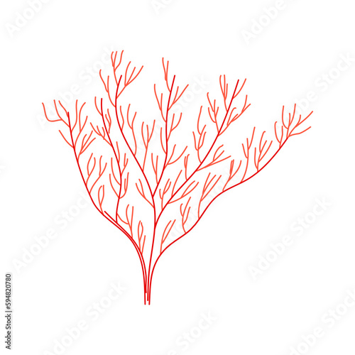 Elements of botany underwater marine plants, flora. Algae and corals. Design of a summer banner, poster. Isolated vector flat illustration.