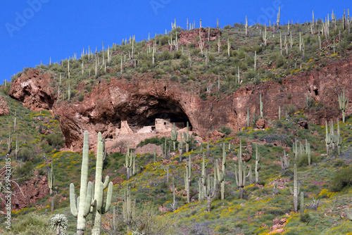 Prehistoric cave dwellings and Giant Saguaros in Tonto National Monument in Arizona photo