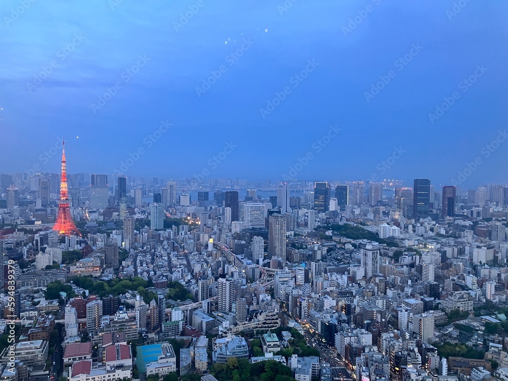 Tokyo aerial sky view from Roppongi, you can find Shinjuku and Shibuya area, and Tokyo tower. Business central town in Tokyo, Japan.