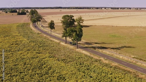 A drone flies sideways overlooking a busy country road during summer in Brandenburg Germany.