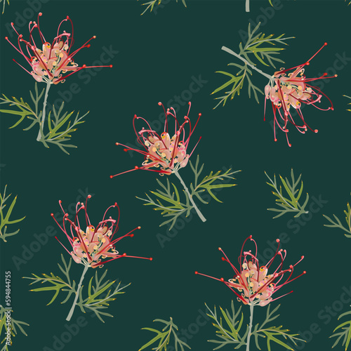 Seamless floral pattern with blooming branches of Grevillea flower. Grevillea banksii. Exotic red blossom. On green background. photo