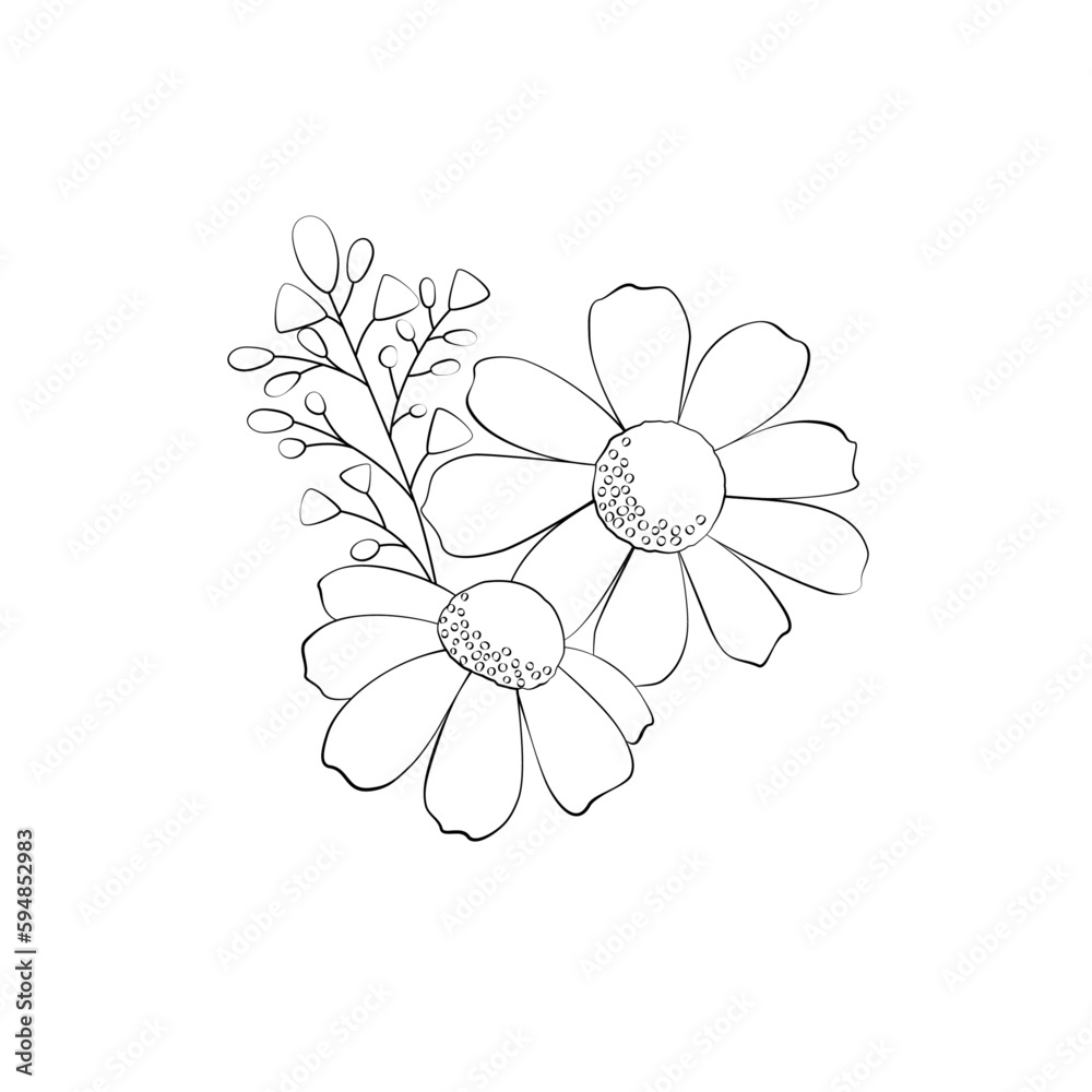 手描きの花のラインアート。ベクターイラスト。ボタニカルアート。 手描きの花のラインアート。ベクターイラスト。ボタニカルアート。
