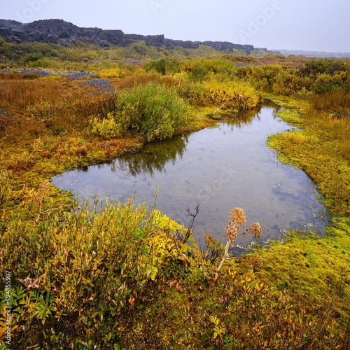 Oasis Herdubreidarlindir, river Lindaa at volcano Herdubreids. Highlands in the Vatnajokull National Park, a UNESCO World Heritage Site, Iceland photo