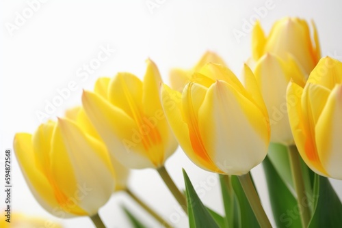 Yellow tulip background. Generative AI.