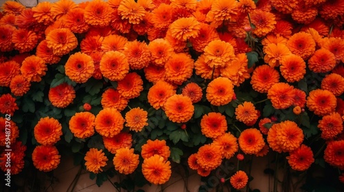 Wall of bright orange flowers background. generative AI