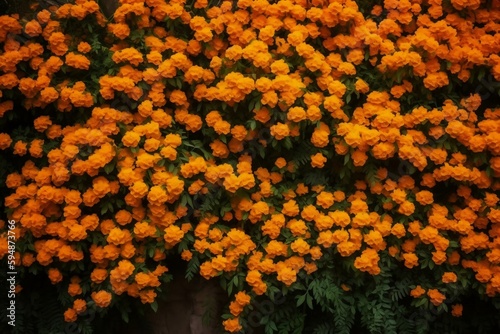 Wall of bright orange flowers background. generative AI