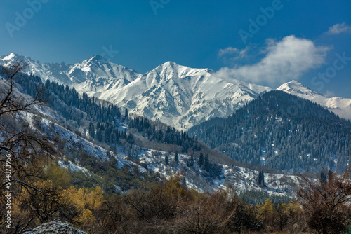 landscape in the mountains